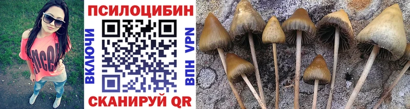 Галлюциногенные грибы мицелий  Купино 